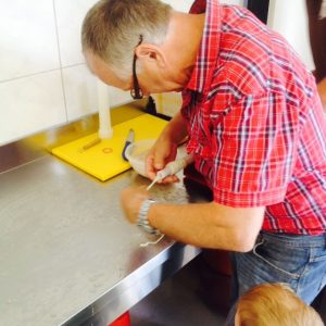 IMG-20170617-WA0029 IMG-20170617-WA0029